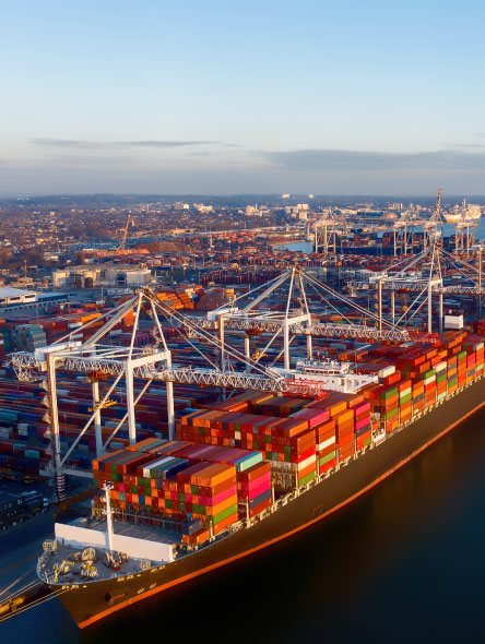ajman offshore company setup consultant